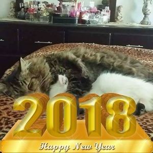 Meet your Posher, Kholoud